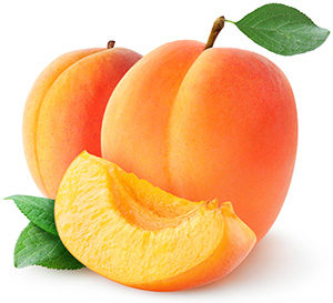 Aprikose Aprikose