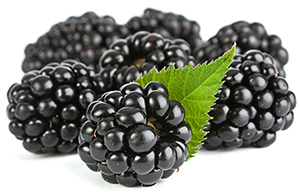 Brombeeren Brombeeren